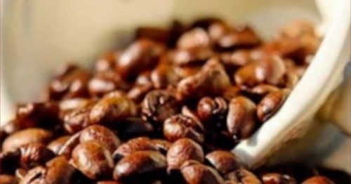 Anvisa proíbe venda e determina recolhimento de três marcas de “café fake”