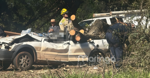 Cena chocante na PR-317; carro esmagado por árvore mata motorista em Maringá