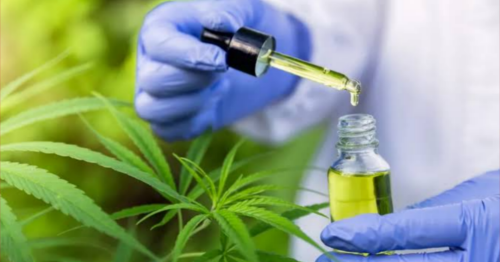 Rede pública inovadora: Paraná autoriza canabidiol para casos selecionados