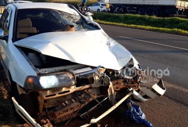 foto de Homem morre na hora após ser atropelado por veículo na BR-376