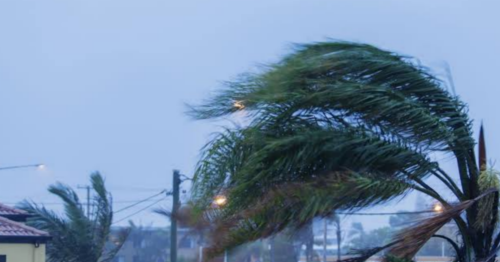 Rajadas de até 100 km/h podem atingir 168 cidades do Paraná