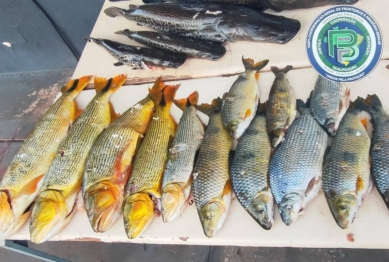 foto de Pesca ilegal: homem é preso com 89 kg de peixes e equipamentos avaliados em R$ 100 mil