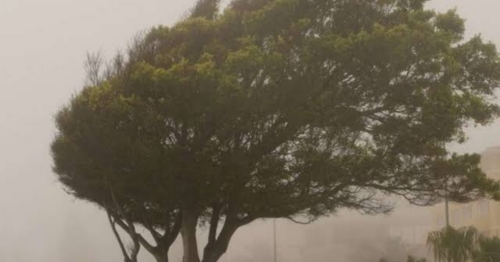 Ciclone extratropical provoca chuvas e ventos intensos no Paraná — confira as localidades