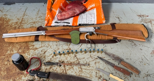 Homem é preso com arma e animal silvestre ameaçado de extinção; suspeito foi encaminhado para delegacia de Maringá