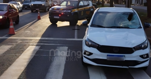 Condutor com CNH suspensa e embriagado atropela pedestre em Maringá