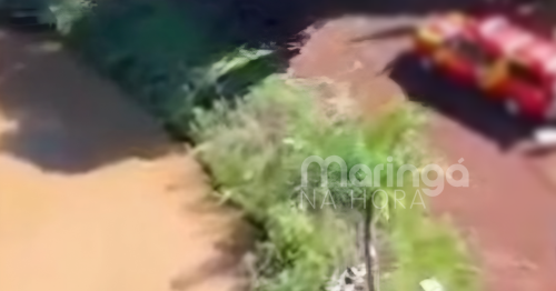 Criança desaparecida é encontrada morta na manhã deste domingo em área rural do Paraná