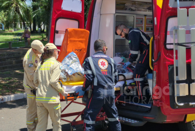 foto de Homem é entubado e pode ter um dos braços amputado após ataque de pitbulls em Maringá