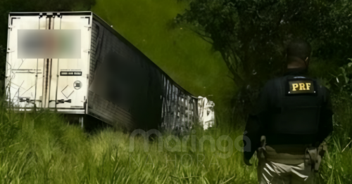 Caminhão sai da pista, pega fogo e condutor morre na BR-376