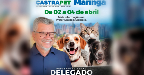 Com apoio do deputado Delegado Jacovós, Maringá recebe 702 castrações gratuitas a partir desta quinta-feira
