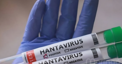 Paraná confirma dois casos de hantavírus no estado; 11 são investigados