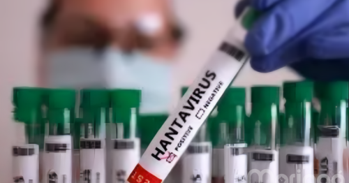 Hantavírus: primeira morte pela doença é confirmada no Brasil; veja os sintomas