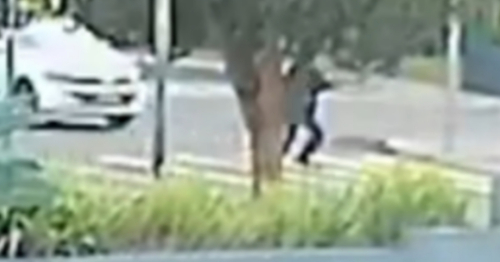 Vídeo mostra exato momento de acidente fatal que matou homem e cachorro no Norte do Paraná