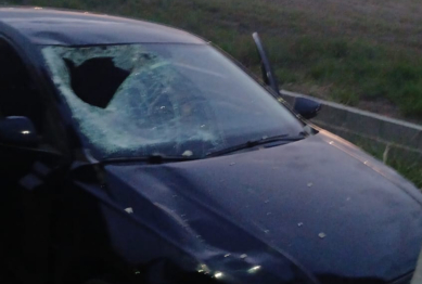 foto de Tragédia no trânsito: GCM a caminho do trabalho prende motorista embriagado após atropelamento com morte em Maringá
