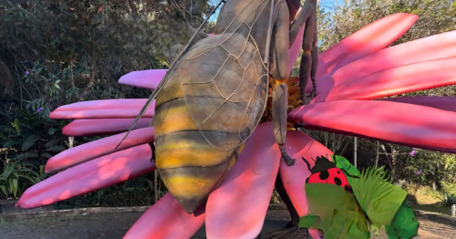 Abelhas, borboletas e joaninhas gigantes chegam ao Parque do Ingá