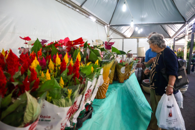 foto de Expoflor é atração para quem ama plantas e jardinagem em Maringá
