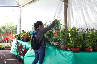 foto de Expoflor é atração para quem ama plantas e jardinagem em Maringá