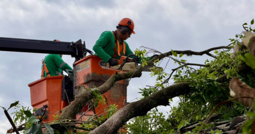 Após temporal, Prefeitura mobiliza mais de 200 servidores para recuperar áreas atingidas em Maringá