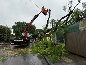 foto de Prefeitura de Maringá mobiliza cerca de 300 servidores para recuperar áreas atingidas por temporal