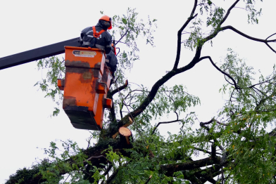 foto de Prefeitura de Maringá mobiliza cerca de 300 servidores para recuperar áreas atingidas por temporal