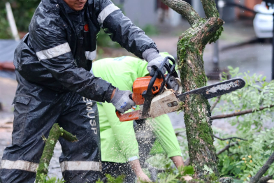 foto de Prefeitura de Maringá mobiliza cerca de 300 servidores para recuperar áreas atingidas por temporal