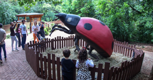 Com ‘insetos gigantes’, exposição ‘Primavera Encantada: Natureza Gigante’ abre ao público nesta sexta-feira, 25