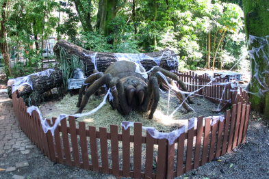 foto de Com ‘insetos gigantes’, exposição ‘Primavera Encantada: Natureza Gigante’ abre ao público nesta sexta-feira, 25