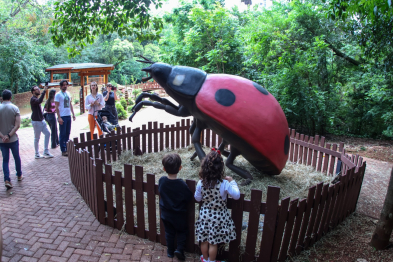 foto de Com ‘insetos gigantes’, exposição ‘Primavera Encantada: Natureza Gigante’ abre ao público nesta sexta-feira, 25