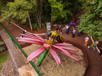 foto de Com ‘insetos gigantes’, exposição ‘Primavera Encantada: Natureza Gigante’ abre ao público nesta sexta-feira, 25