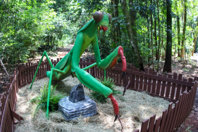 foto de Com ‘insetos gigantes’, exposição ‘Primavera Encantada: Natureza Gigante’ abre ao público nesta sexta-feira, 25