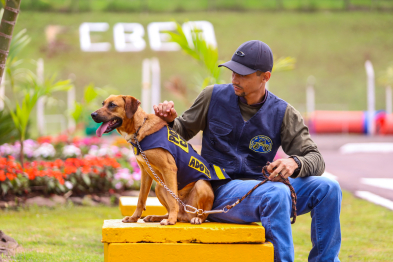 foto de Novo Centro de Bem-Estar Animal de Maringá amplia oferta de acolhimento e cuidados a pets vítimas de maus-tratos
