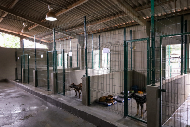 foto de Novo Centro de Bem-Estar Animal de Maringá amplia oferta de acolhimento e cuidados a pets vítimas de maus-tratos