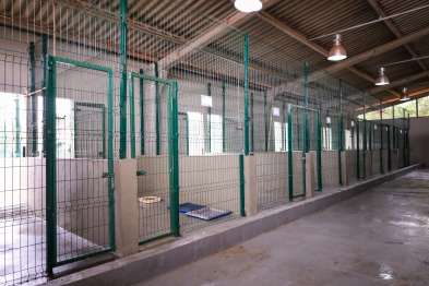 foto de Novo Centro de Bem-Estar Animal de Maringá amplia oferta de acolhimento e cuidados a pets vítimas de maus-tratos