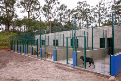 foto de Novo Centro de Bem-Estar Animal de Maringá amplia oferta de acolhimento e cuidados a pets vítimas de maus-tratos