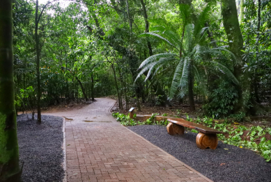 foto de Prefeitura entrega revitalização da gruta do Parque do Ingá